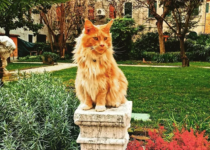 Cinqueteste Luxury بيت ضيافة البندقية