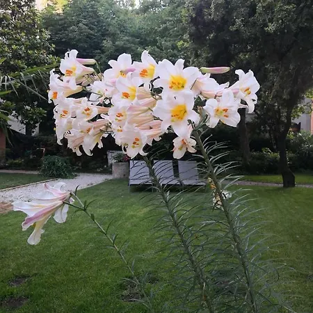 Πανσιόν Cinqueteste Luxury