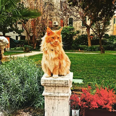 Cinqueteste Luxury Πανσιόν Βενετία